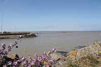 Vue de la baie depuis le port du Bec à Bouin résidense de André de Rivaudeau. 