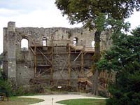 Ruines de l'ancienne forteresse de Langeais.