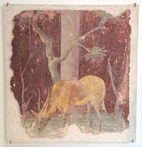 Fresque de gazelle en train de boire. Provenant de la bibliothèque d'Asinius Pollion sur l'Aventin. Musée d'art et d'histoire de Genève. Source : wiki/Caius Asinius Pollio/ licence : CC BY-SA 4.0